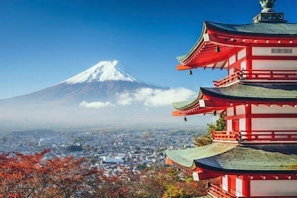 MT Fuji and Hakone Private Group Tour (Upto 9 Persons) by Hiace