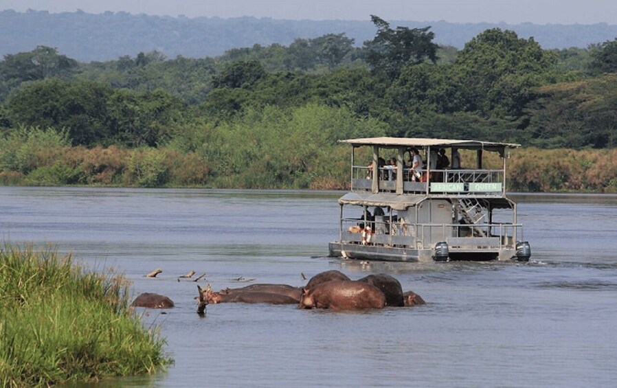 Picture 2 for Activity Murchison Falls National Park: 2-Day Safari with Boat Cruise