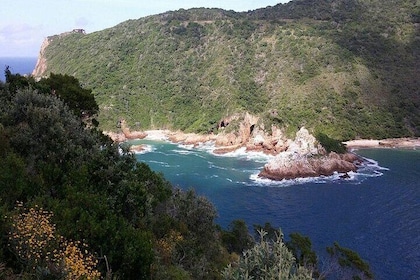 3 Day Garden Route Tour in Cape Town
