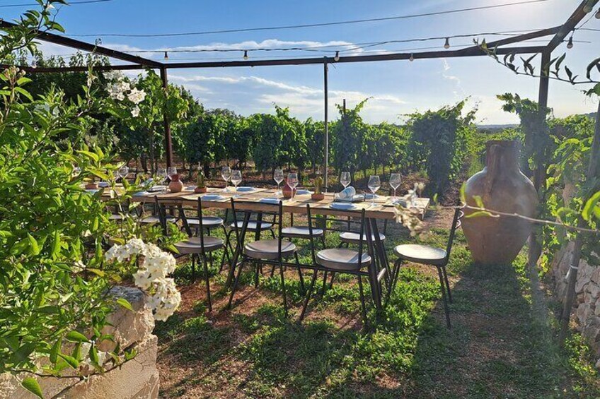 Apulian cooking class and typical dinner