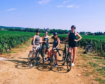 Dijon: Bike tour and Tastings in the Vineyards of Burgundy