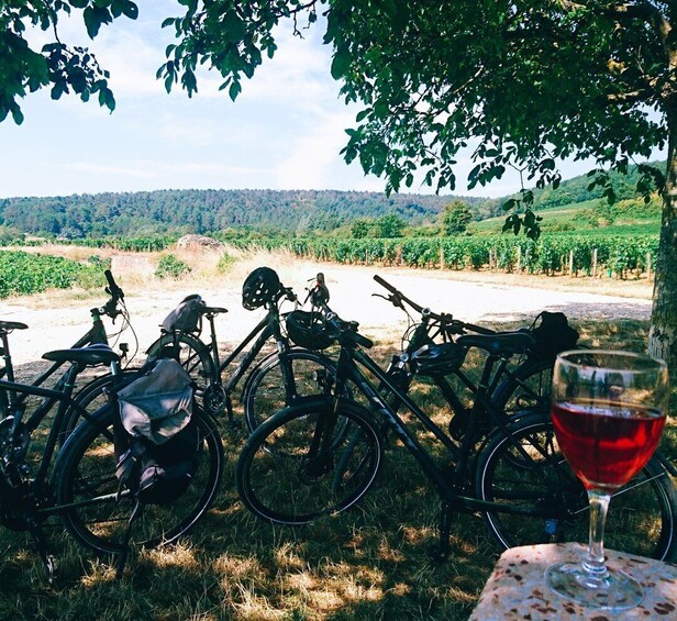 Picture 2 for Activity Dijon: Bike tour and Tastings in the Vineyards of Burgundy