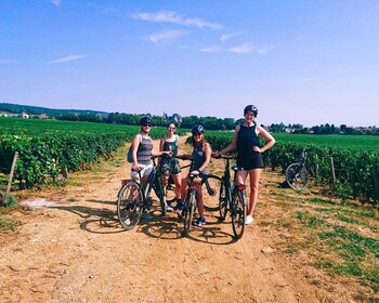 Dijon: Bike tour and Tastings in the Vineyards of Burgundy