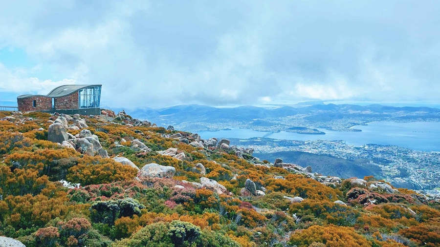Shore Excursion: Hobart Wanderer