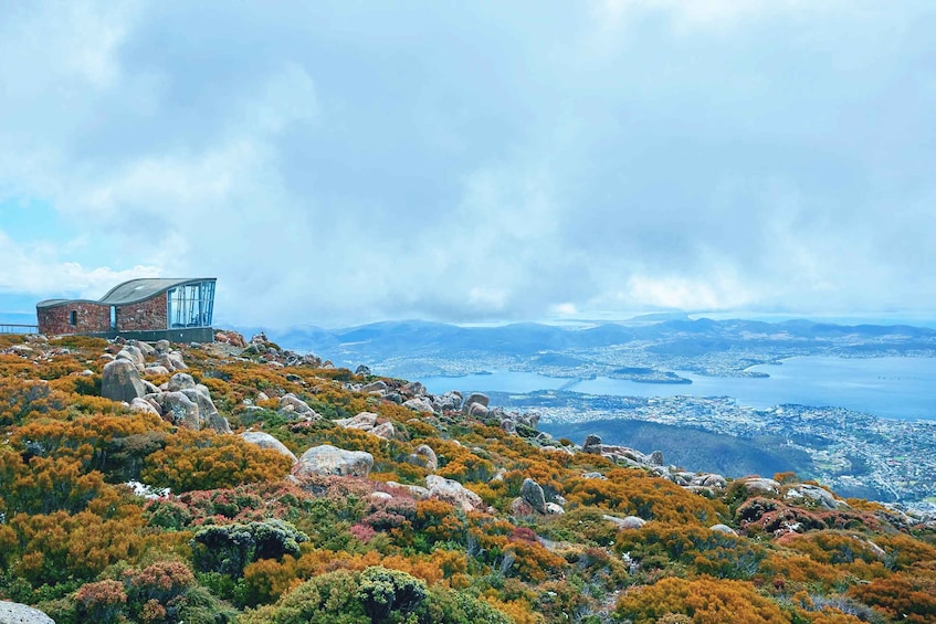 Shore Excursion: Hobart Wanderer