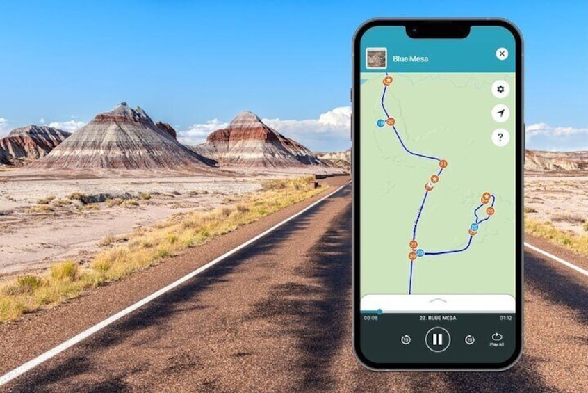 Petrified Forest National Park Self Guided Driving Tour