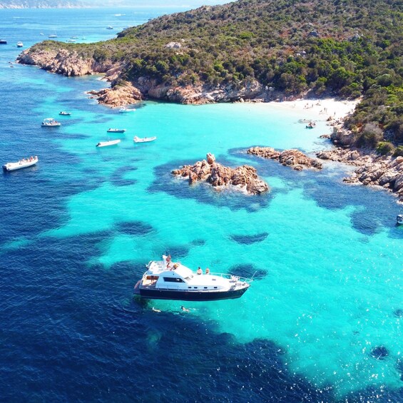 Picture 13 for Activity Palau: La Maddalena Archipelago Motorboat Tour with Lunch