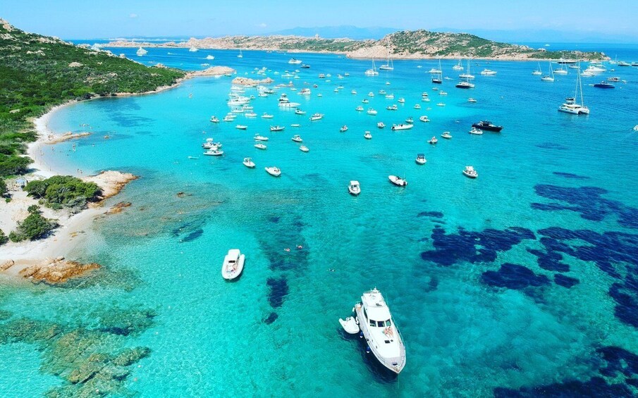 Picture 3 for Activity Palau: La Maddalena Archipelago Motorboat Tour with Lunch