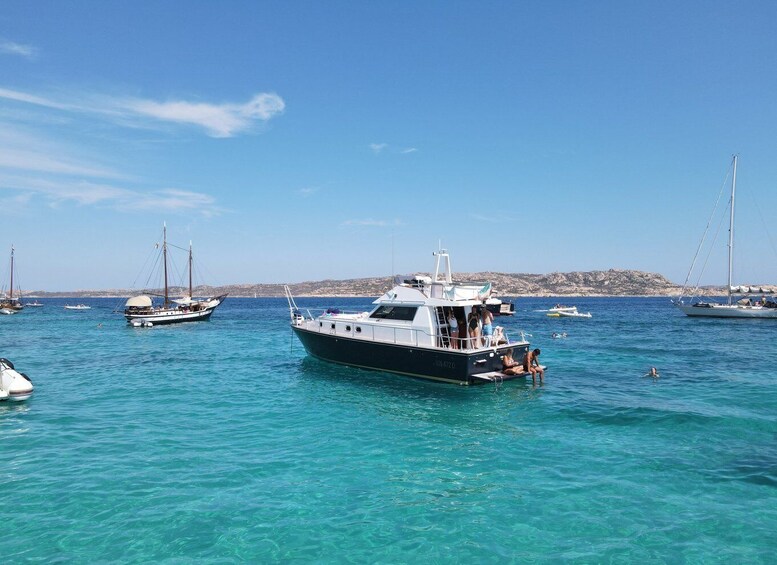 Palau: La Maddalena Archipelago Motorboat Tour with Lunch