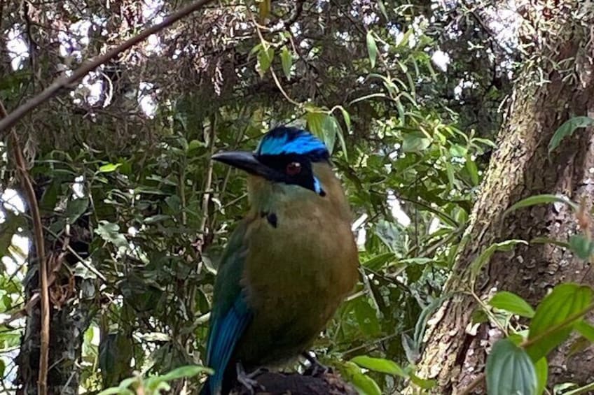 Bird-watchers paradise. 