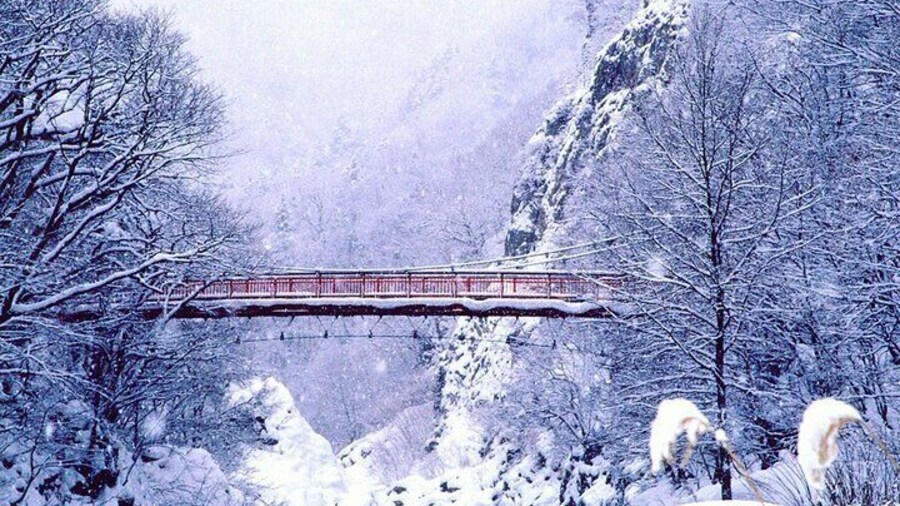 Full Day Private Skiing / Snowboarding Tour in Sapporo