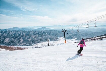 Full Day Private Skiing / Snowboarding Tour in Sapporo