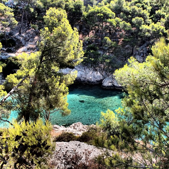 Picture 8 for Activity Cassis: Calanques National Park Sea Kayaking Tour