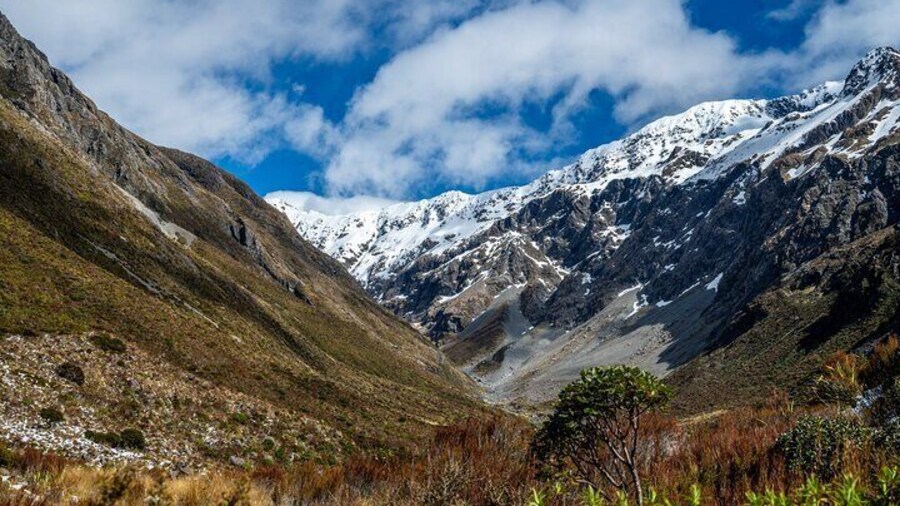 Arthurs Pass Day Tour With TranzAlpine and Jet Boat Ride