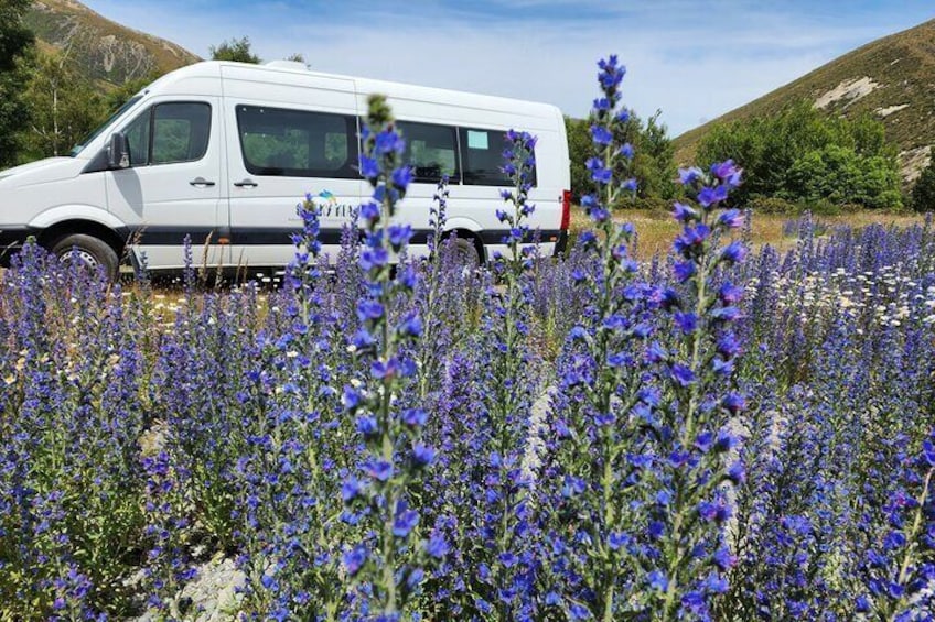 Arthurs Pass Day Tour With TranzAlpine and Jet Boat Ride 