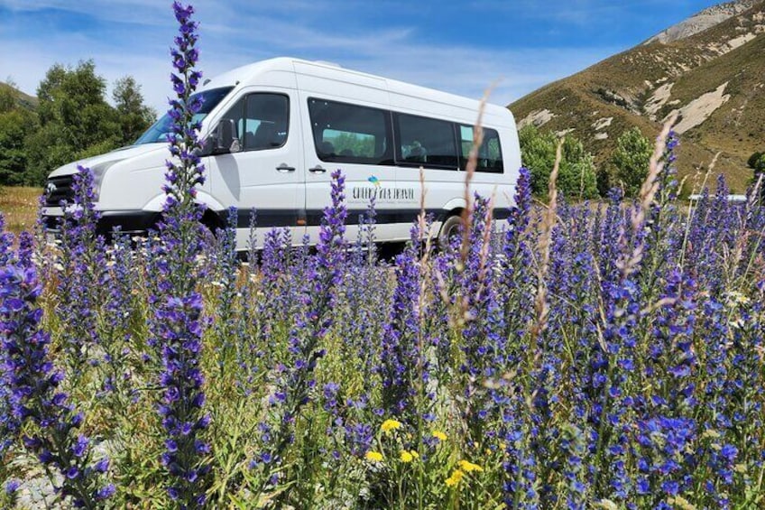 Arthurs Pass Day Tour With Jet boat Ride 