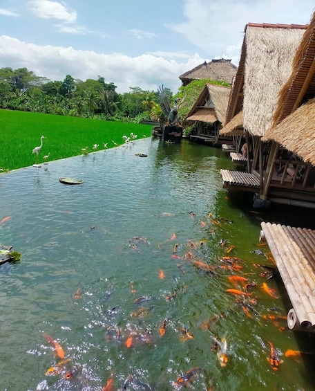 Bali : Bebek Tebasari Resto at Ceeking rice Terrace
