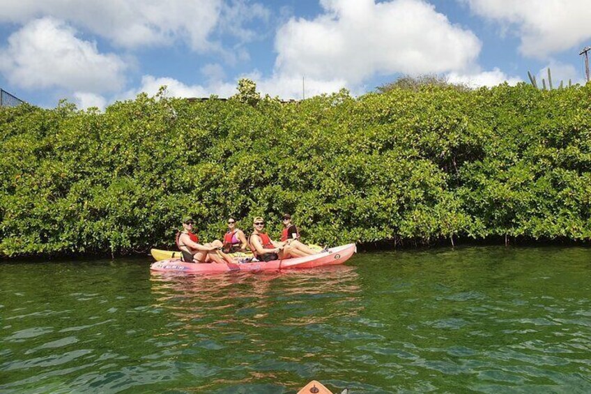 Kayak Tour at Mangel Halto & Spanish Lagoon