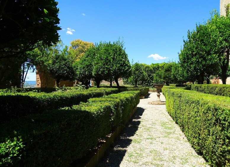 Picture 1 for Activity Pienza: Private Walking Tour in the Heart of Tuscany