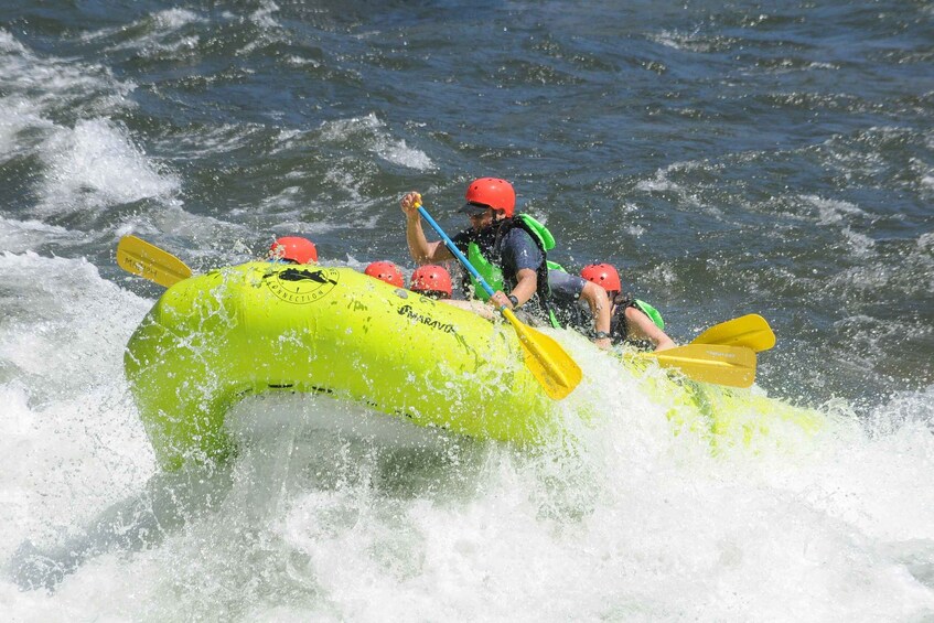 Picture 2 for Activity Lotus: South Fork American River Rafting 1/2 Day