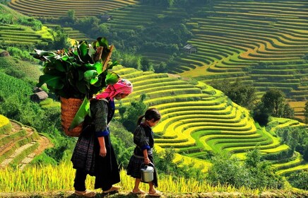 Desde Hanoi: Tour de Sapa de 2 días y 2 noches en tren nocturno