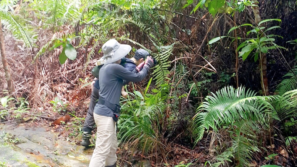 Show item 4 of 5. Tourists enjoying the Matang Wildlife and Trekking at Kubah tour