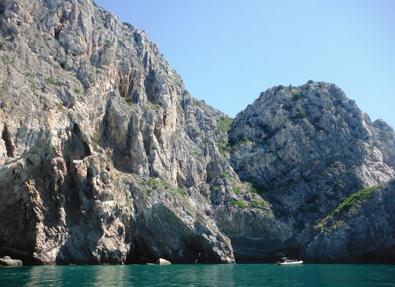 Picture 7 for Activity Arrábida: Ribeira do Cavalo Beaches and Caves Boat Tour