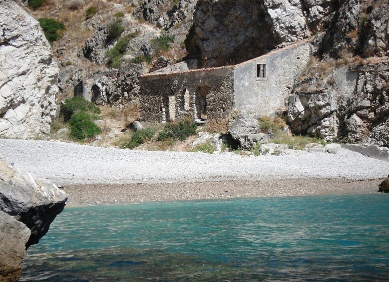 Picture 3 for Activity Arrábida: Ribeira do Cavalo Beaches and Caves Boat Tour