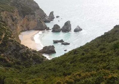 Arrábida : Excursion en bateau sur les plages et les grottes de Ribeira do ...