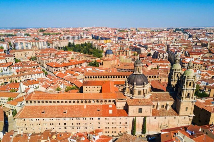 Picture 2 for Activity Salamanca: Private Walking Tour with a Local Guide