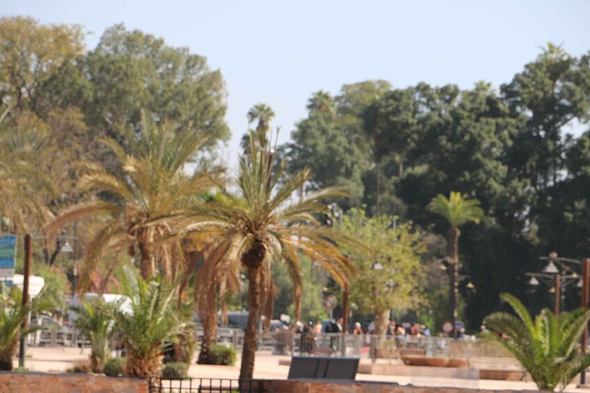 Picture 45 for Activity Marrakech Private Full-Day City Tour with Museums Tickets