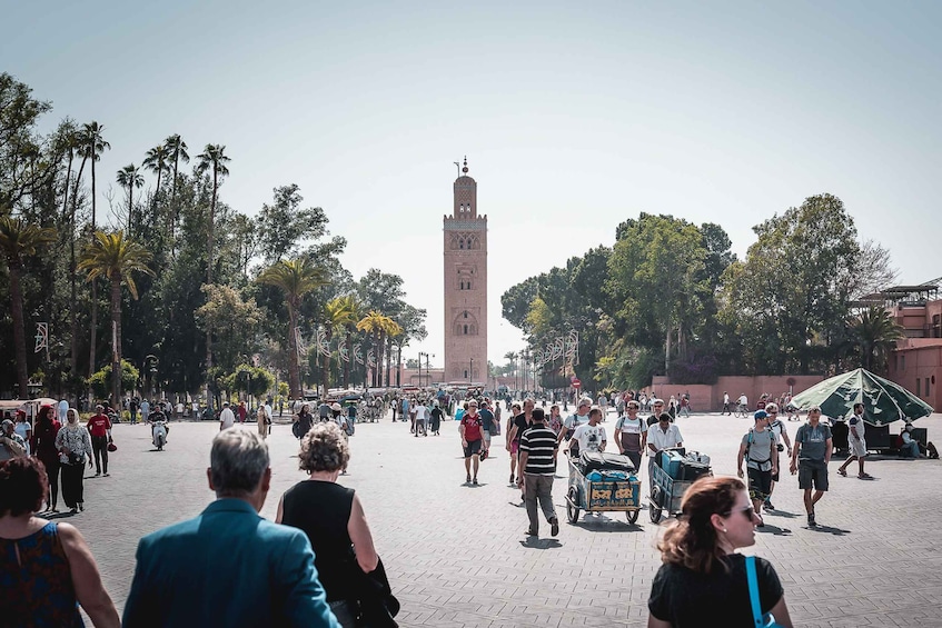 Picture 2 for Activity Marrakech Private Full-Day City Tour with Museums Tickets