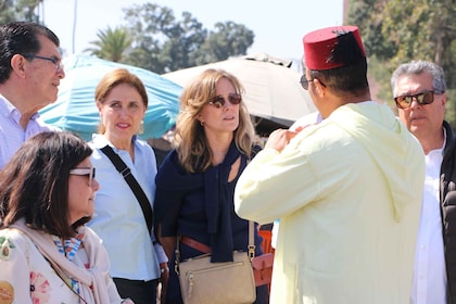 Excursión privada de día completo a Marrakech con entradas para museos