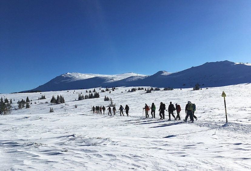 Sofia: Black Peak-Vitosha Mountain Snowshoeing Day Trip