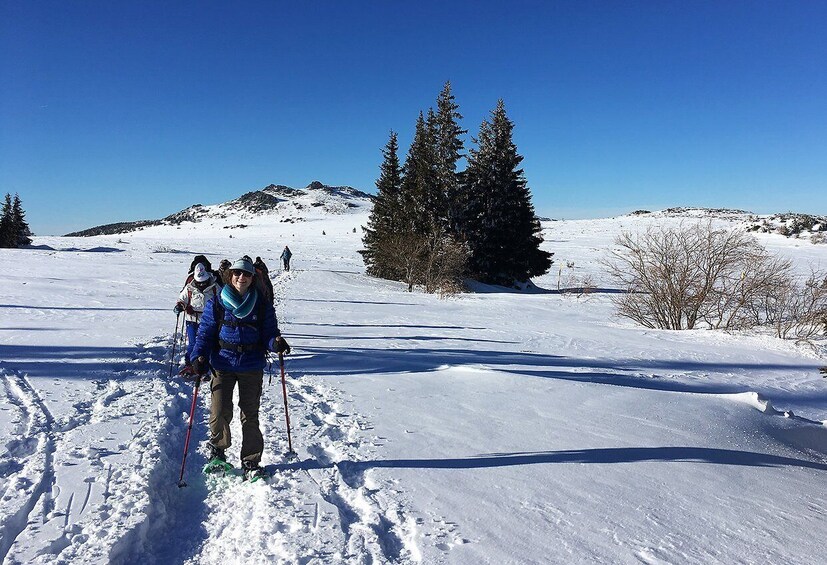 Picture 1 for Activity Sofia: Black Peak-Vitosha Mountain Snowshoeing Day Trip