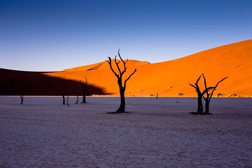 Picture 4 for Activity Sossusvlei & Swakopmund Tour: 5 Days