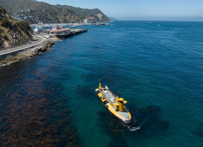 Picture 4 for Activity Catalina Island: Yellow Semi-Submarine Cruise