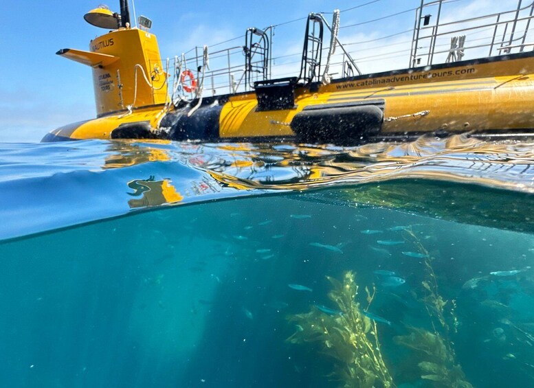 Picture 1 for Activity Catalina Island: Yellow Semi-Submarine Cruise