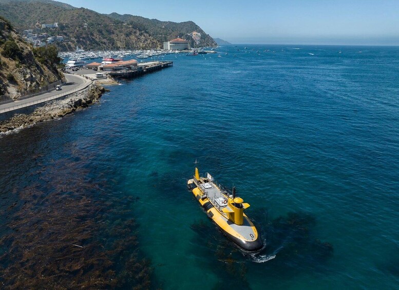 Picture 4 for Activity Catalina Island: Yellow Semi-Submarine Cruise