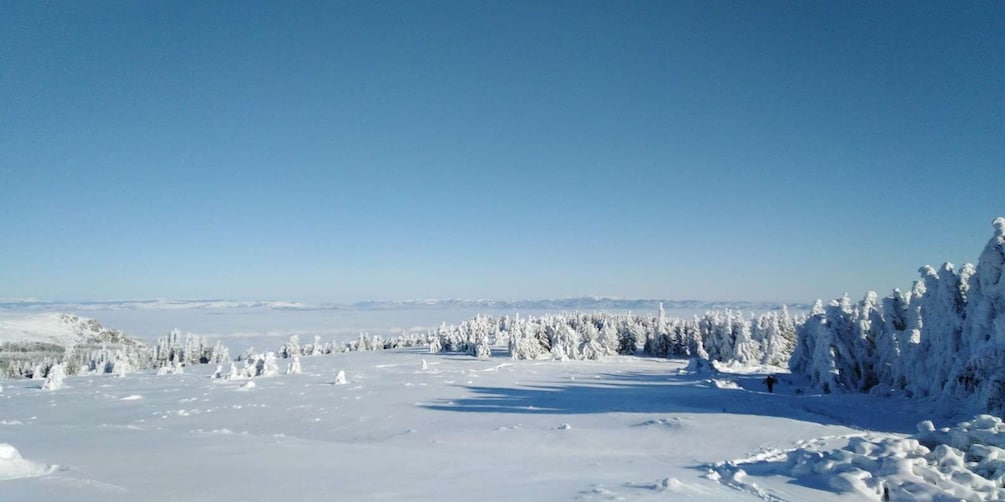 One-Day Hiking with Snowshoes on Vitosha