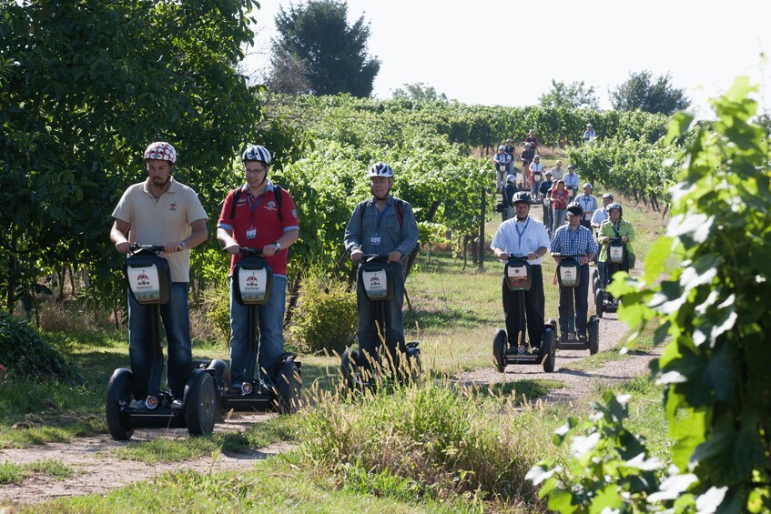 Neckargemünd: 2.5-Hour Segway Tour on the Mark Twain Trail