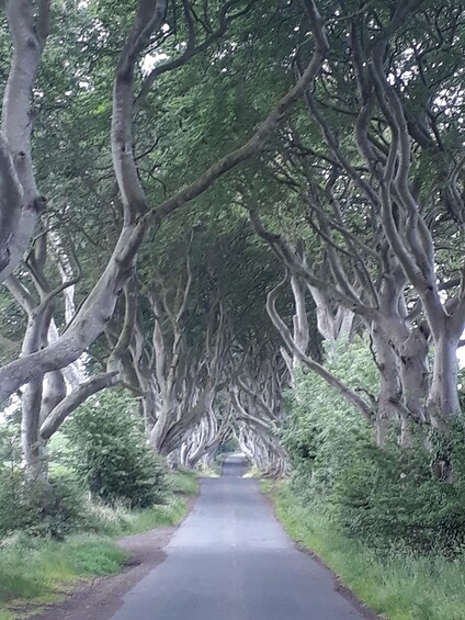 Picture 1 for Activity From Belfast: The Giant's Causeway & Game of Thrones Tour