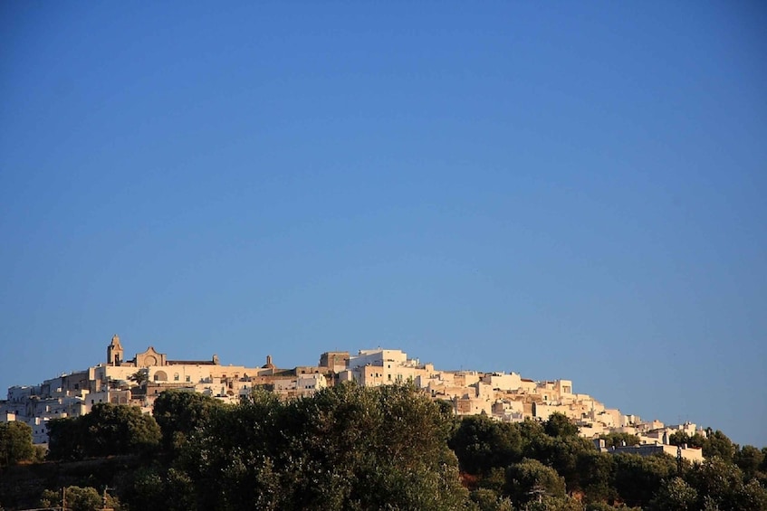 Picture 1 for Activity Ostuni: Walking Tour