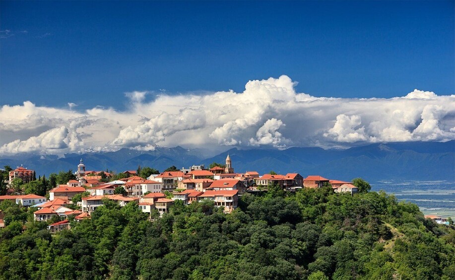 Picture 2 for Activity Kakheti Wine Region Private Tour