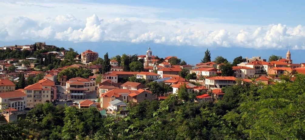 Picture 1 for Activity Kakheti Wine Region Private Tour