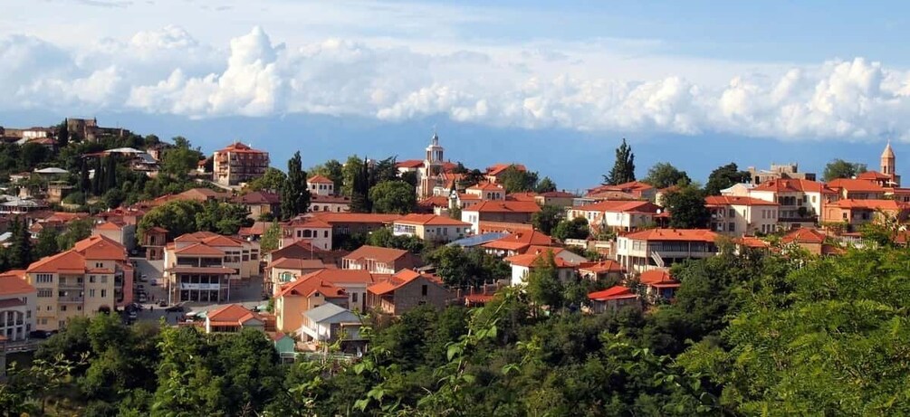 Picture 1 for Activity Kakheti Wine Region Private Tour