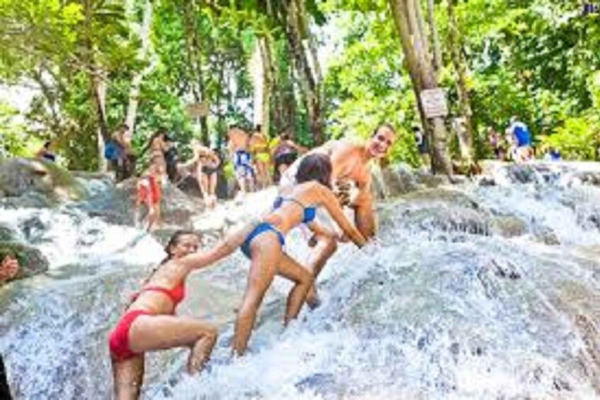 Picture 4 for Activity Dunn's River Falls Day Tour