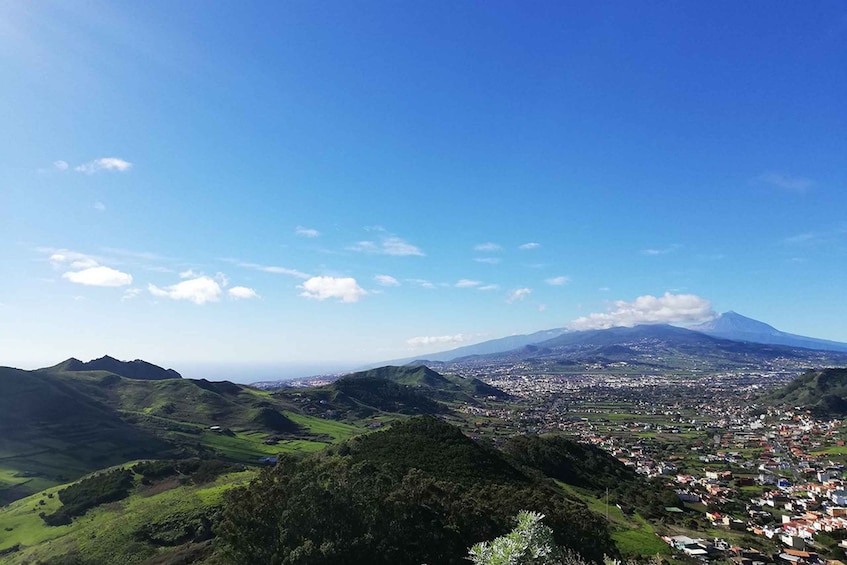 Picture 1 for Activity From Cruz del Carmen: Hiking in Anaga with food testing