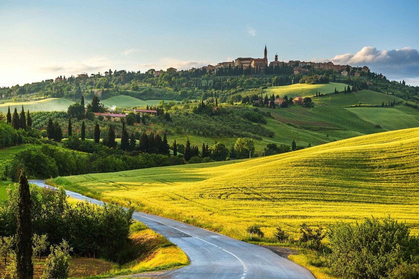 Picture 1 for Activity Private Tour From Florence to Cortona and Montepulciano