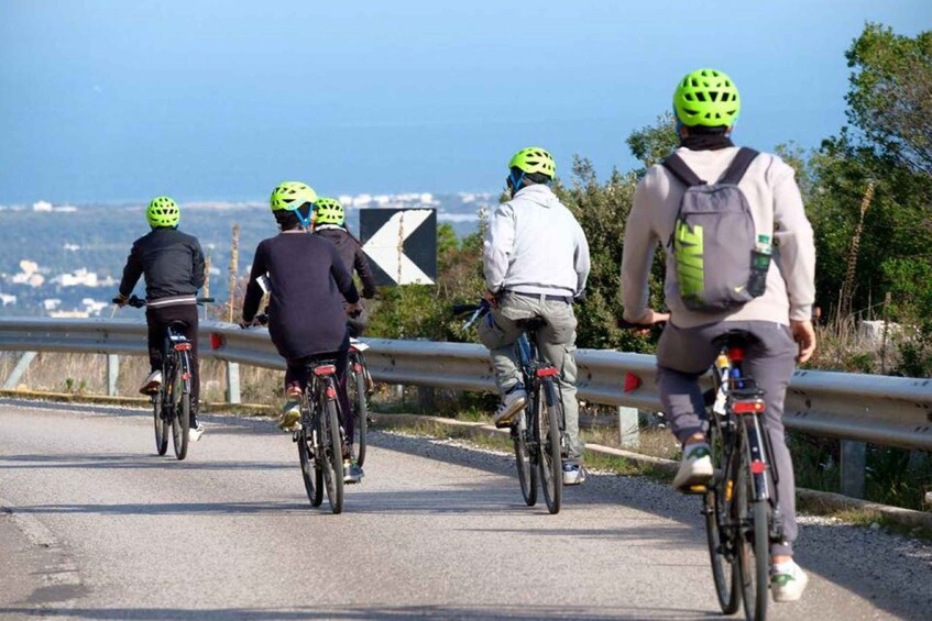 Picture 6 for Activity Bari: Trekking Bike Rental